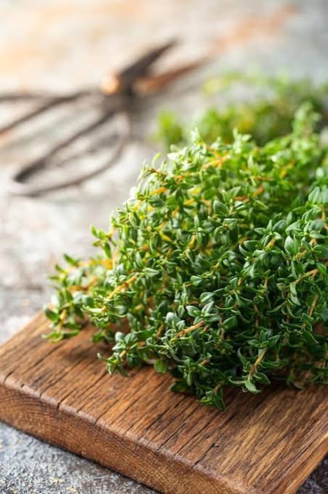 Natural Thyme - Age Group: Suitable For All