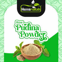 Pudina Powder