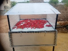Solar Box Type Chilli Dryer