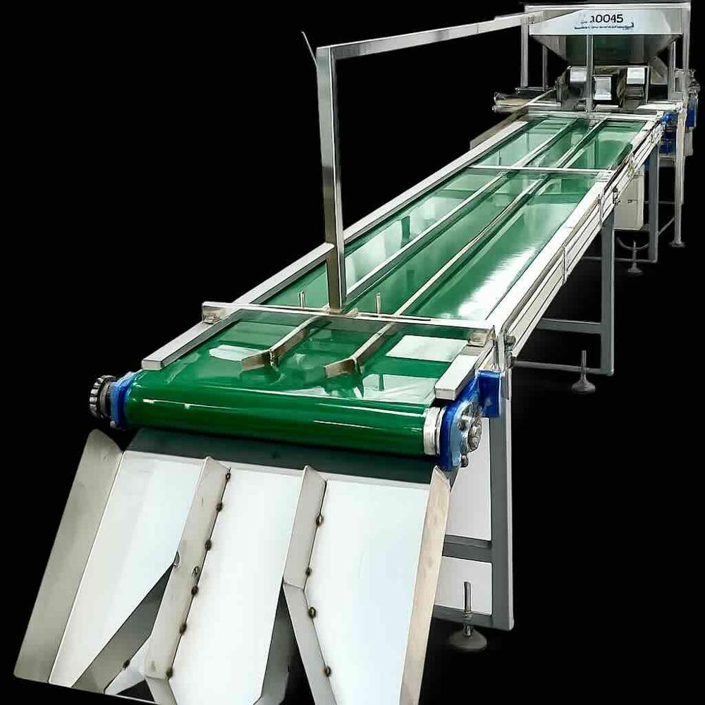 Inspection Conveyor