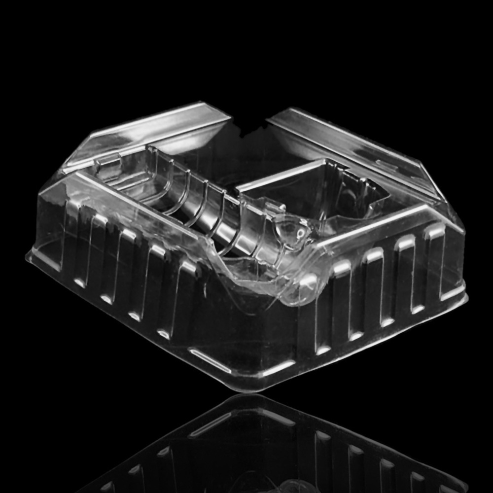 Packaging Blister