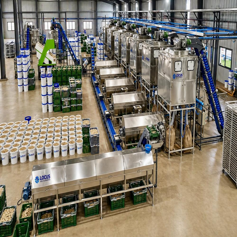 Automatic Cashew Nut Processing Machine