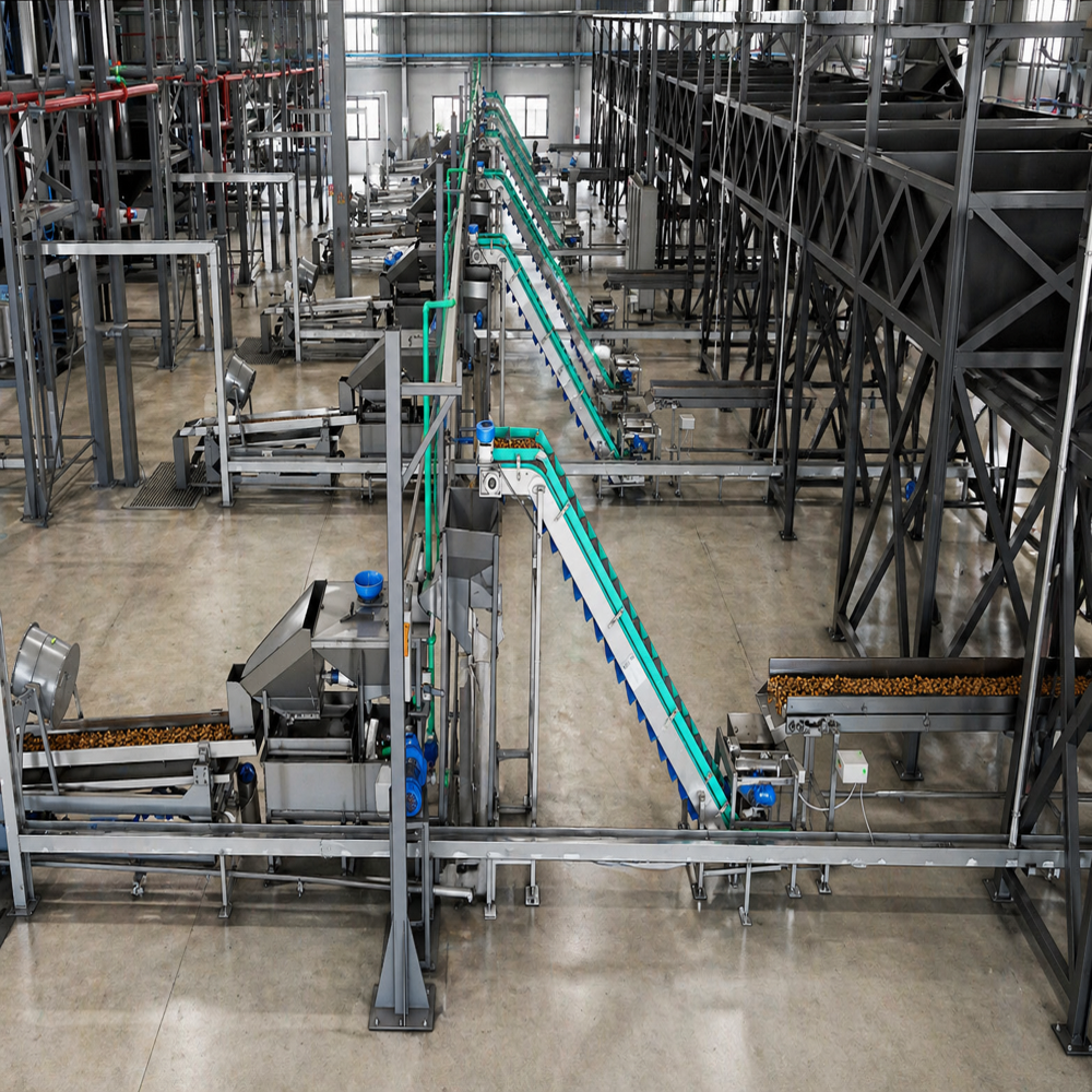 Automatic Cashew Nut Processing Machine