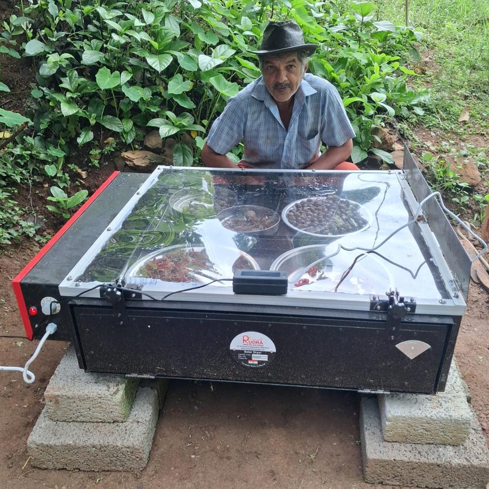 Solar Dryer For Mango