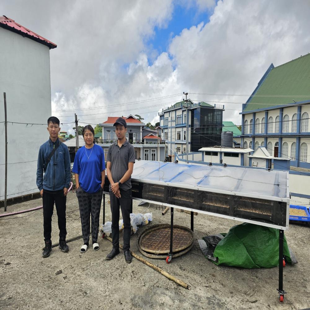 Solar Dryer For Garlic