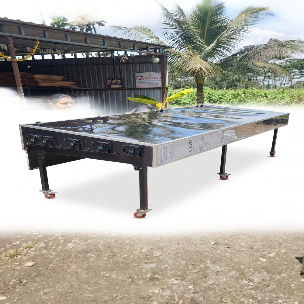 Solar Dryer For Pineapple