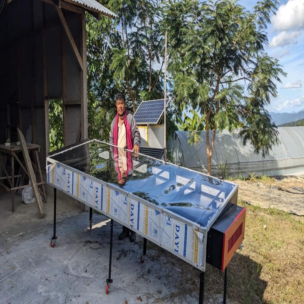 Solar Dryer For Pineapple