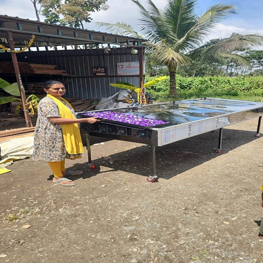 Solar Dryer For Pineapple