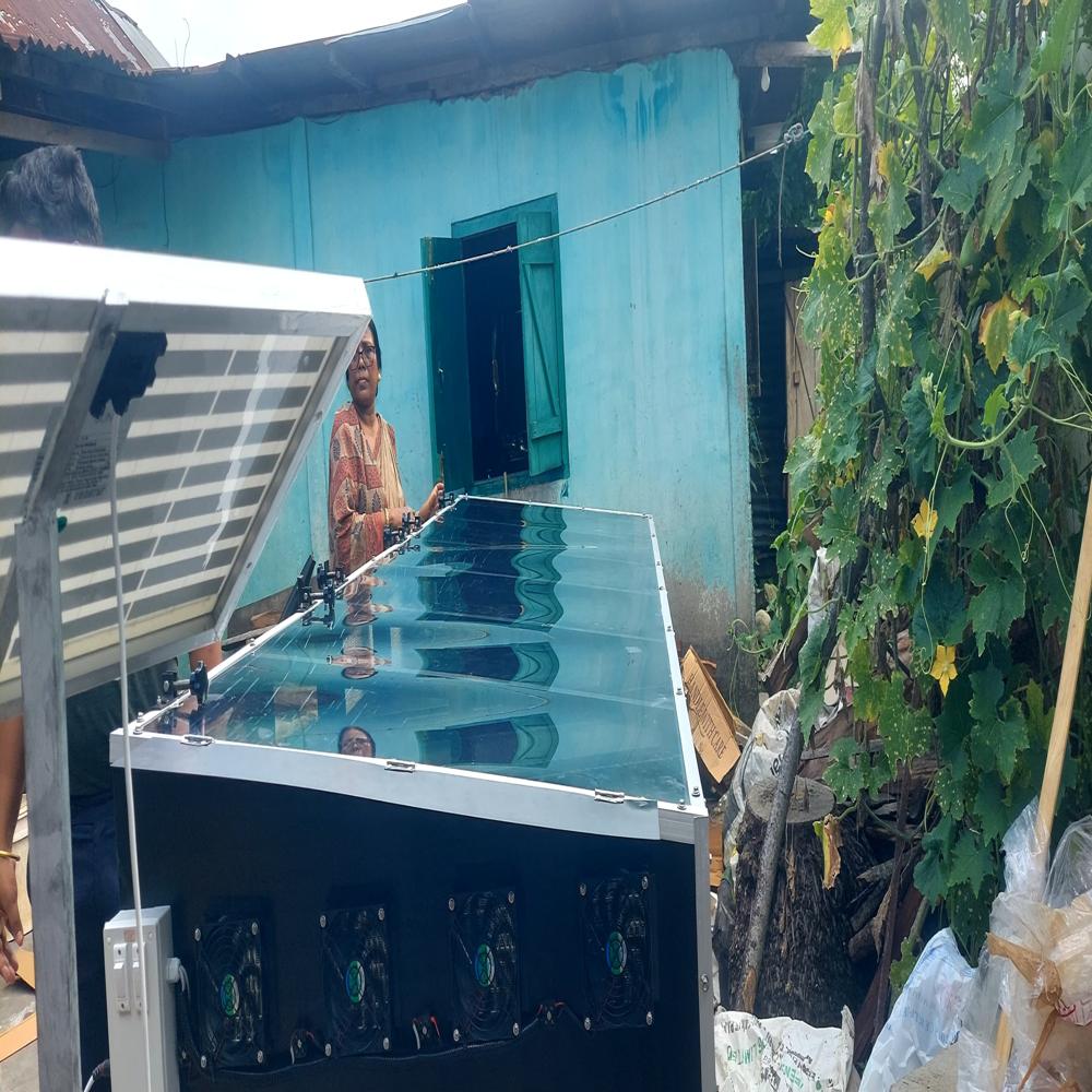 Solar Dryer For Pineapple