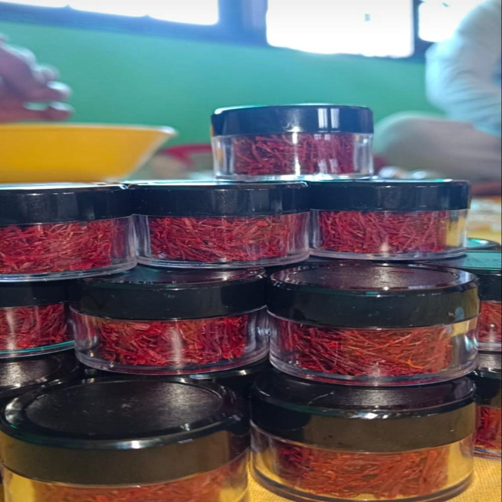 Indian Saffron - Color: Natural Color