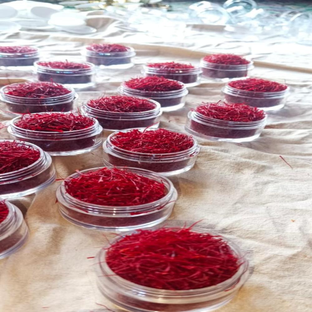 Indian Saffron - Color: Natural Color