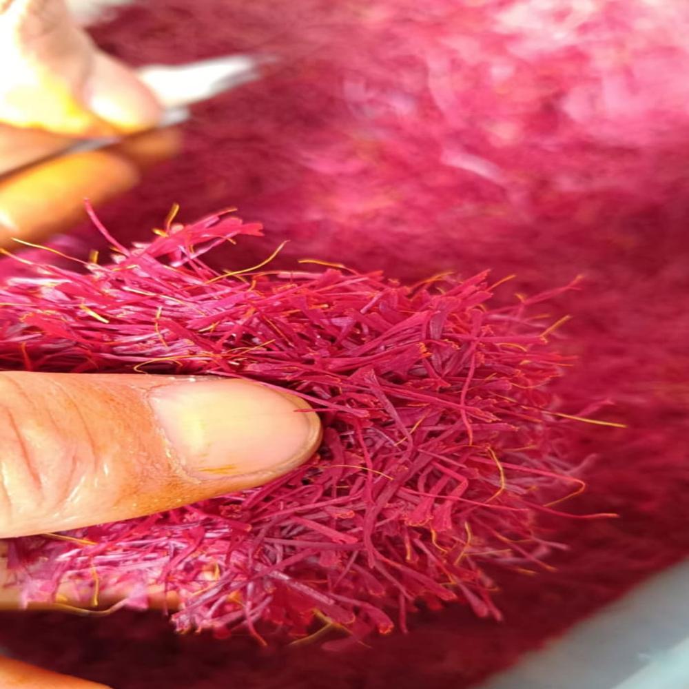 Indian Saffron - Color: Natural Color
