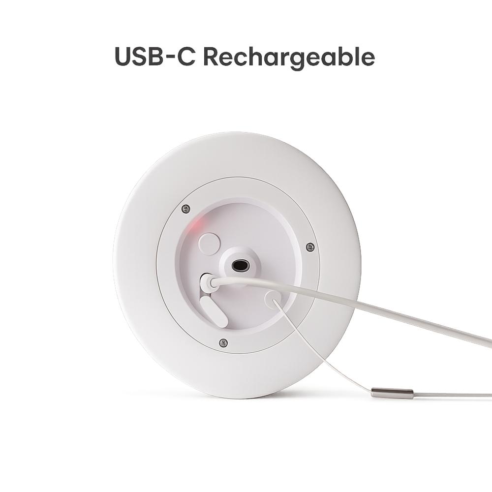Bellara Lamp by Timalfi