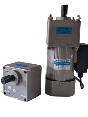 AC Geared Motor