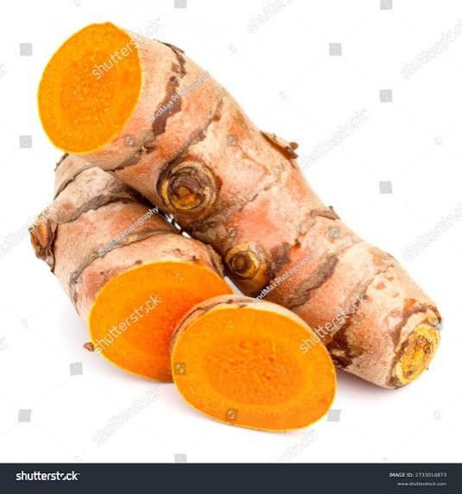 Fresh Turmeric Rhizomes