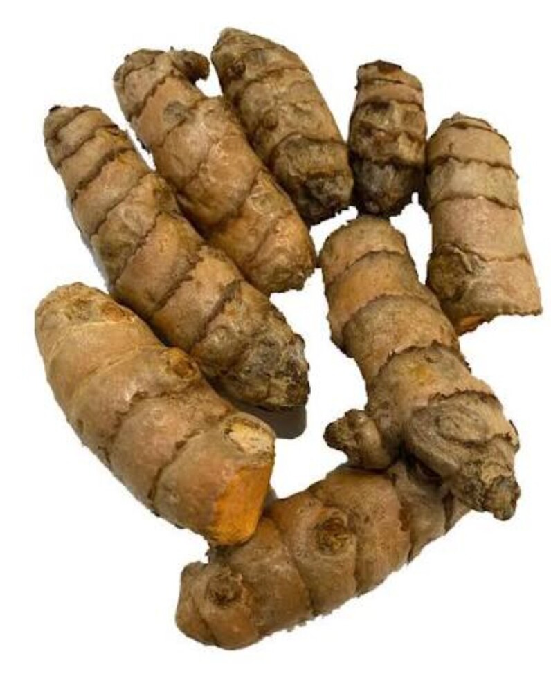 Fresh Turmeric Rhizomes