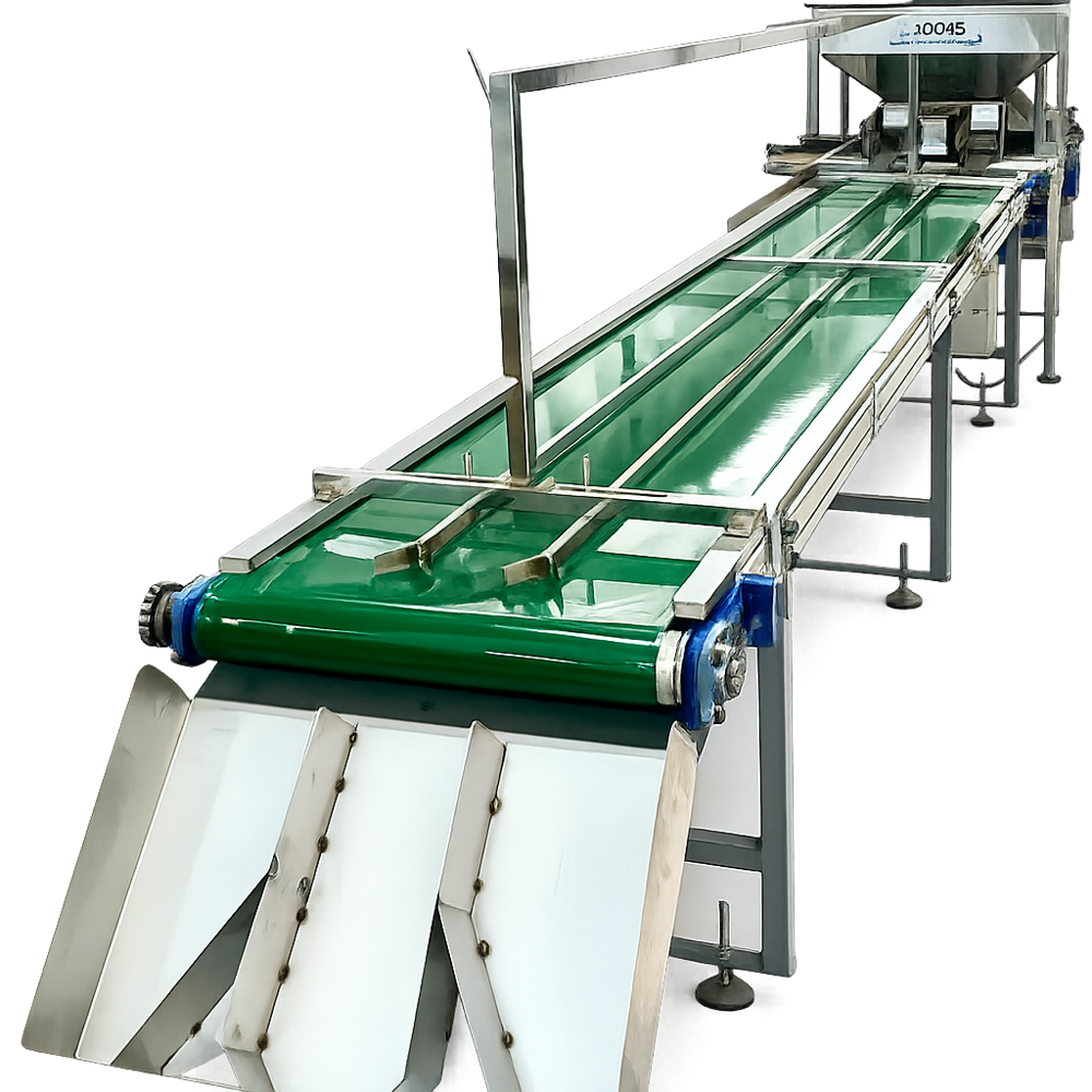 Cashew Inspection Conveyor