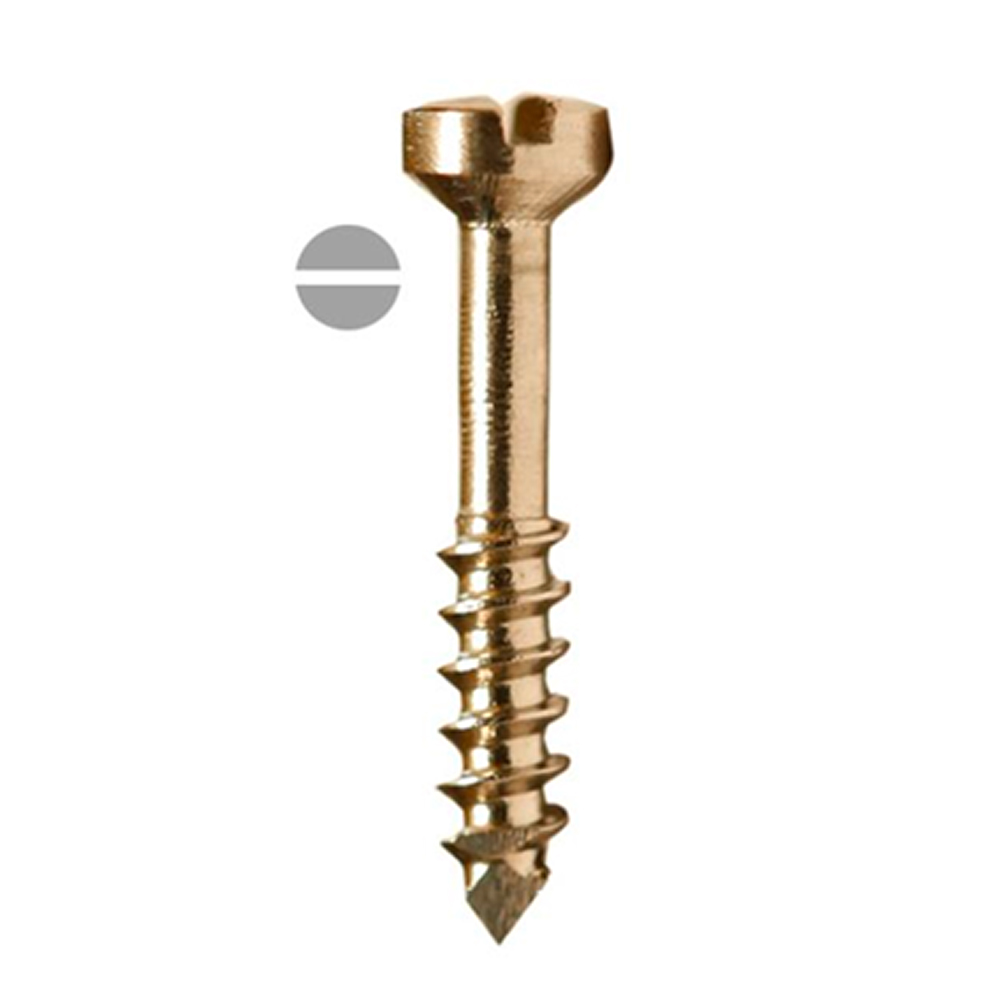  Hastelloy C276 Screw