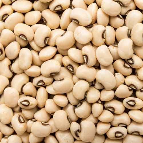 Organic Cowpeas