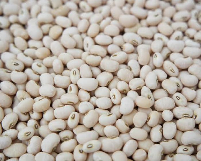 Organic Cowpeas