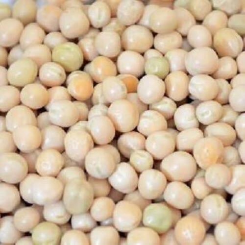 White Chickpea - High Purity Split Pieces | Versatile For Various Dishes, Ideal For Distributors And Suppliers