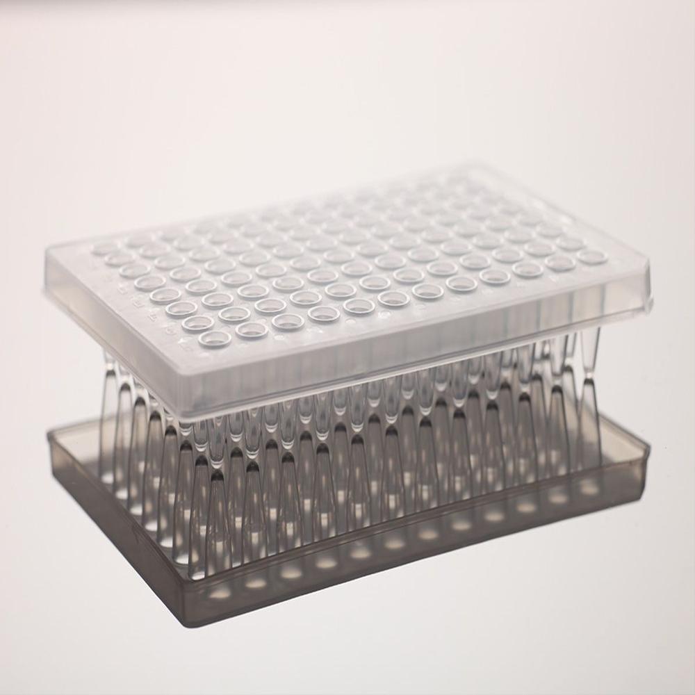 0.1ml PCR Plate