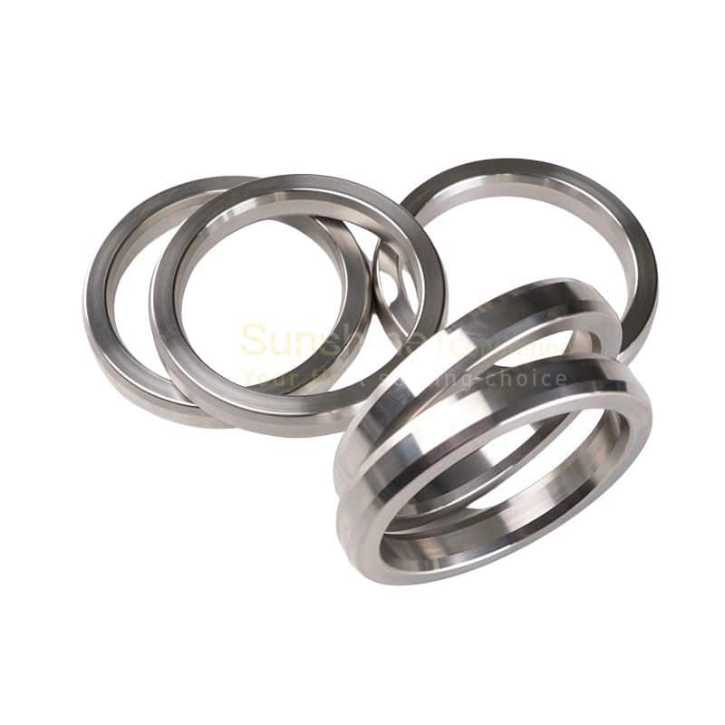Hastelloy B3 Gaskets