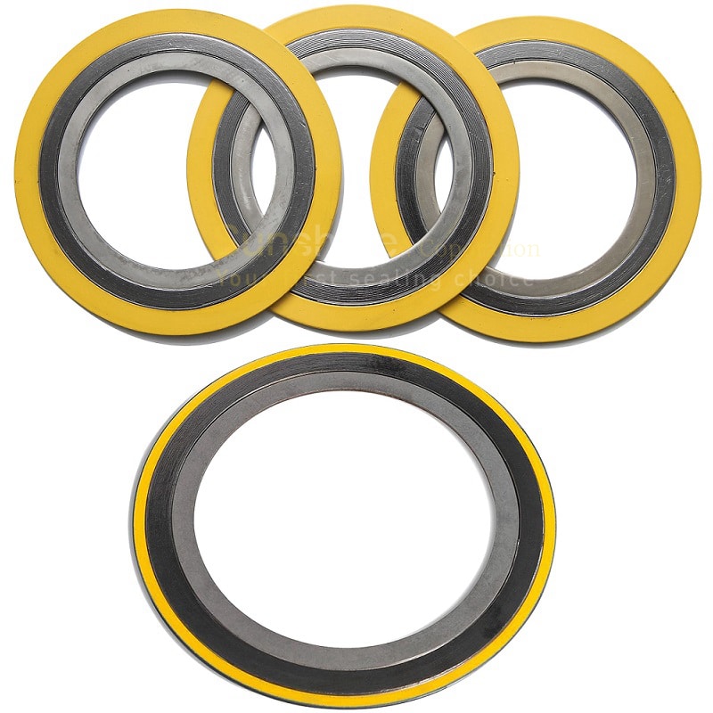 Hastelloy B3 Gaskets