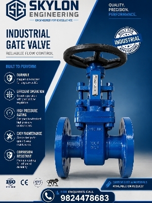 gate valve