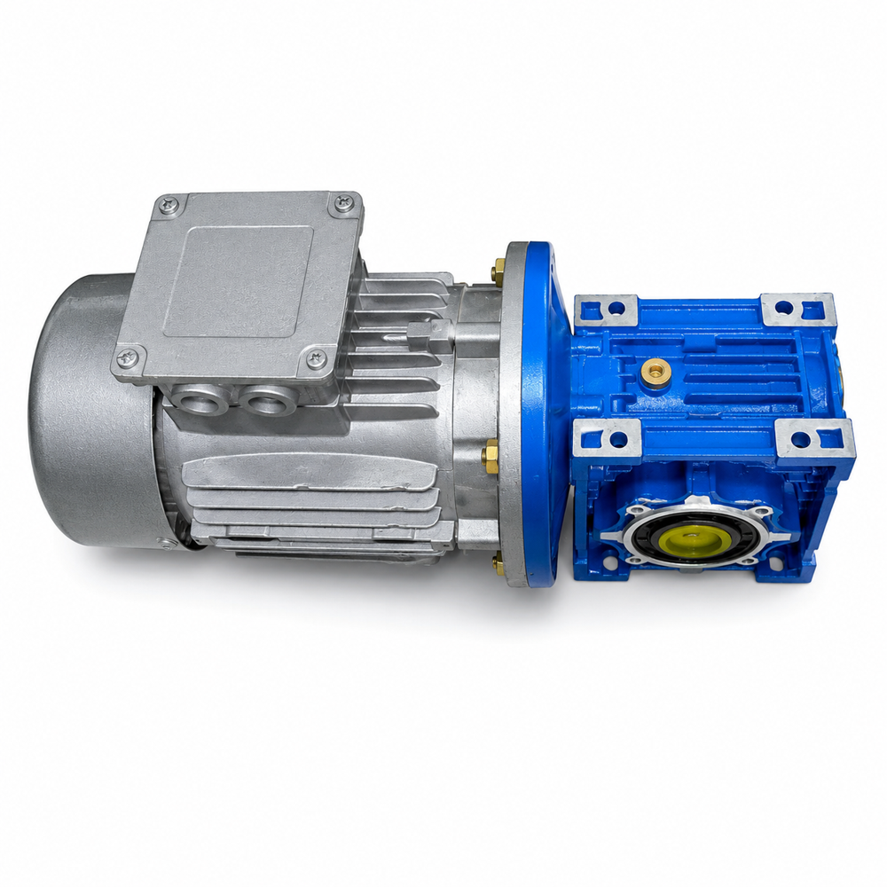 Industrial Worm Gear Motor