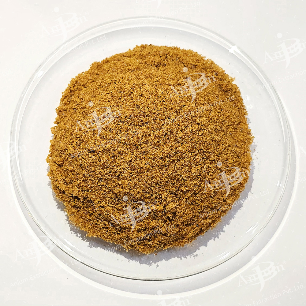 Ferula foetida (Hing) Extract