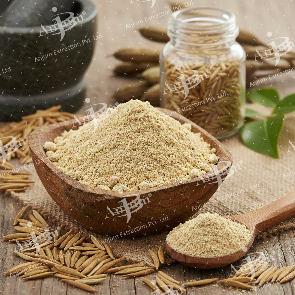 Holarrhena pubescens (Indrajau) Extract