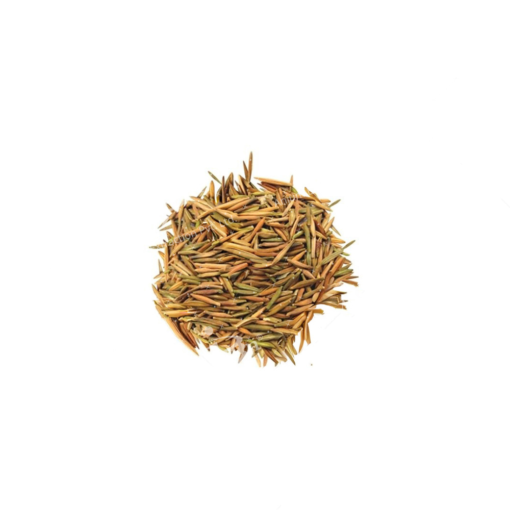 Holarrhena pubescens (Indrajau) Extract