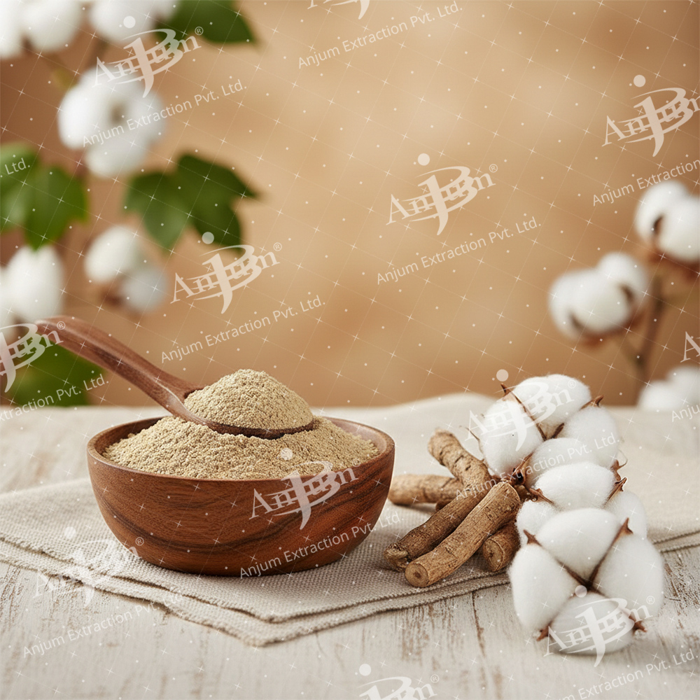 Gossypium Herbaceum (Kapas Mool) Extract - Application: Medicine