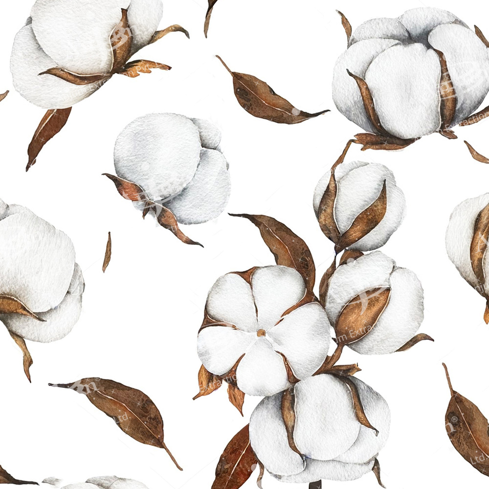 Gossypium herbaceum (Kapas Mool) Extract