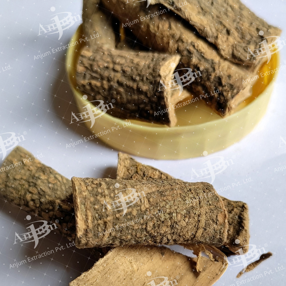 Karanja Pongamia pinnata (Karanja) Extract