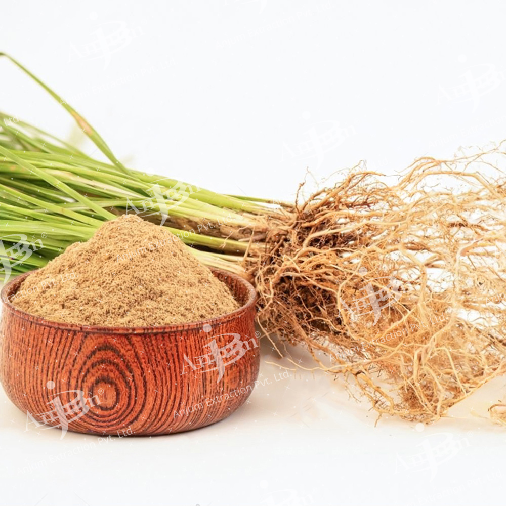 Chrysopogon zizanioides (Khus, Valo) Extract