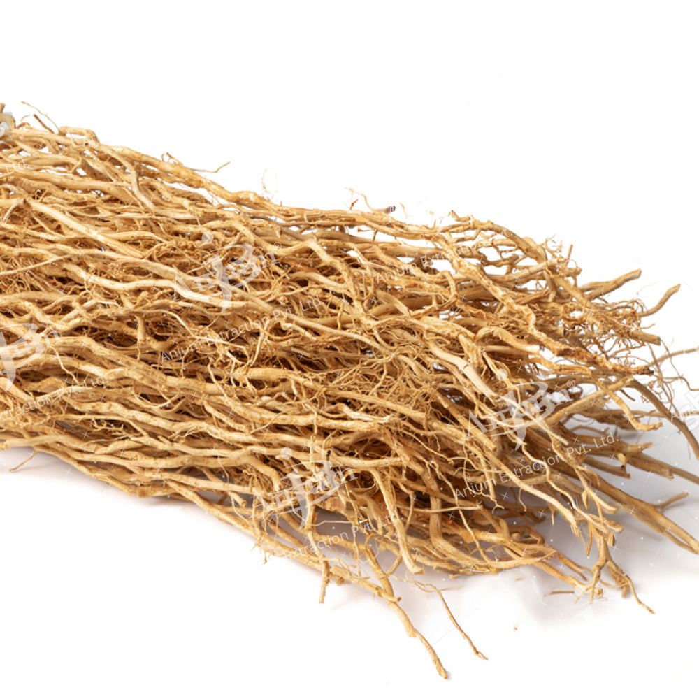 Chrysopogon zizanioides (Khus, Valo) Extract