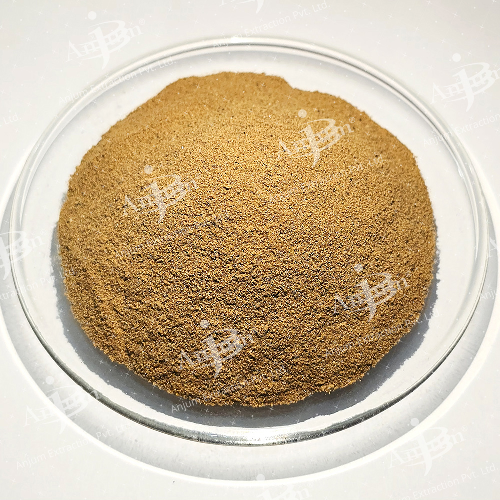 Chrysopogon zizanioides (Khus, Valo) Extract