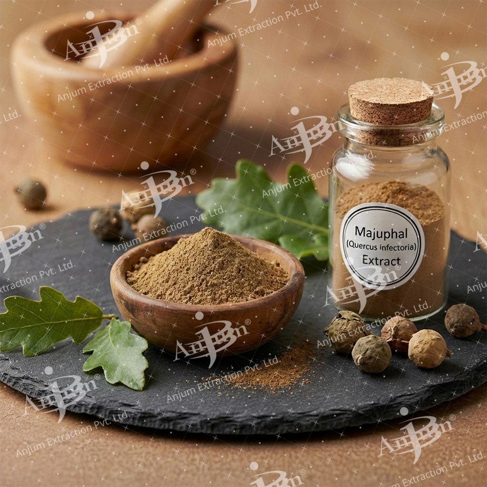 Quercus infectoria (Majuphal) का अर्क