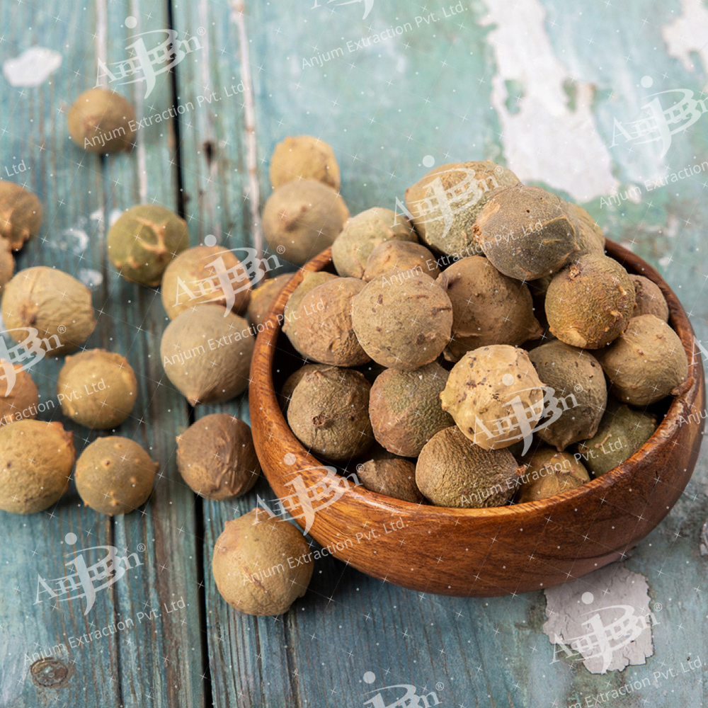 Quercus infectoria (Majuphal) Extract