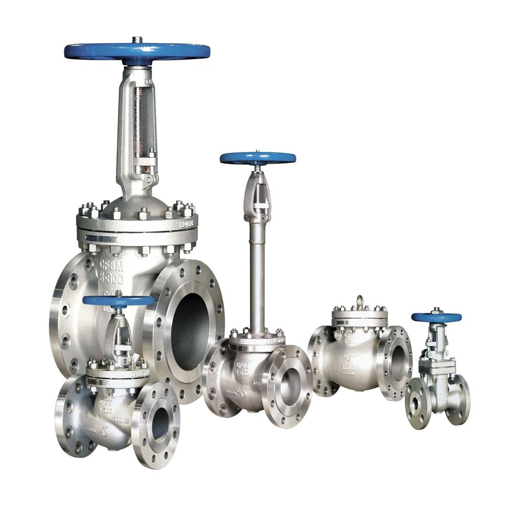 Duplex Steel 2205 Valves