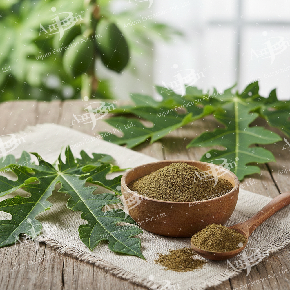 Carica papaya (Papita Leaf) Extract