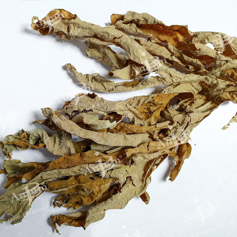 Carica papaya (Papita Leaf) Extract