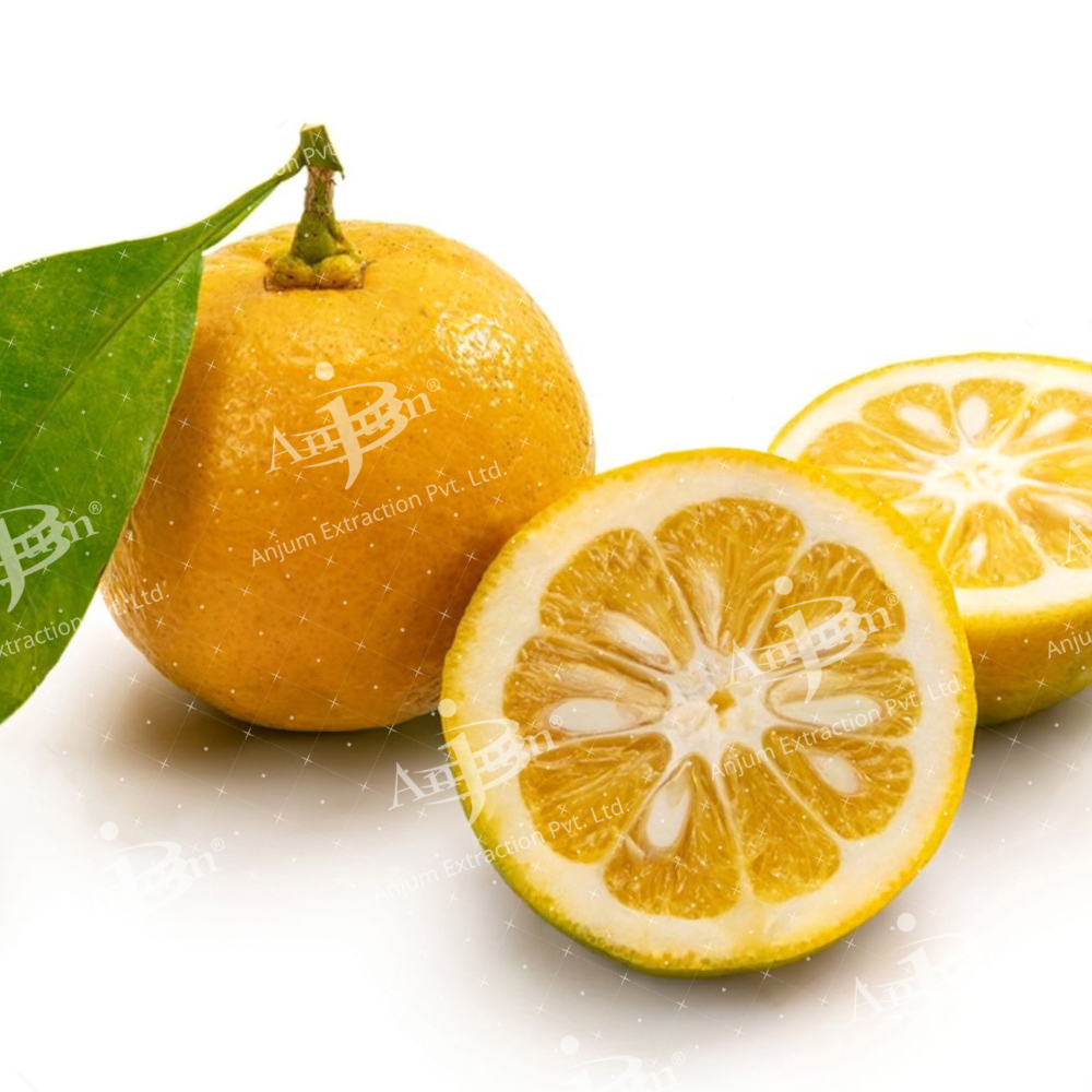 Citrus aurantium (Santra Chhilka) Extract