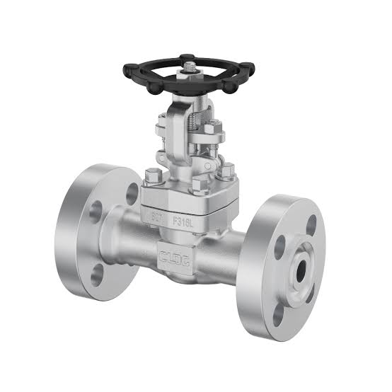 Duplex Steel S32205 Valves