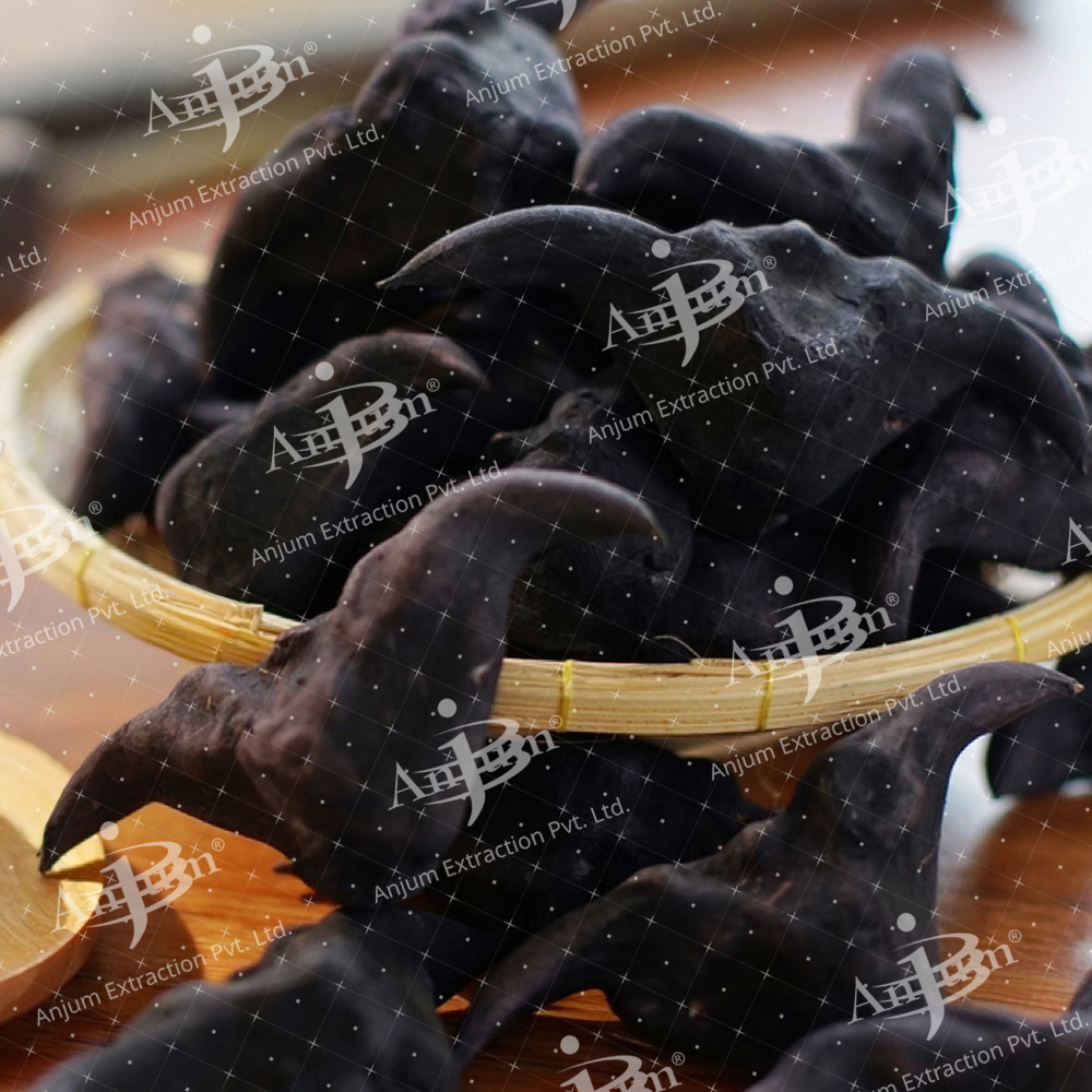 Trapa natans (Singhada)
