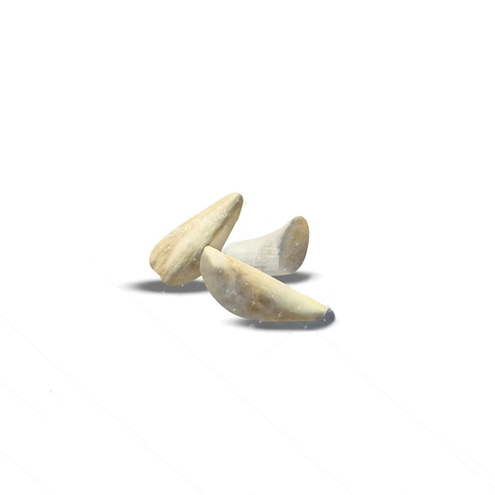 Suranjan (Colchicum luteum) Extract