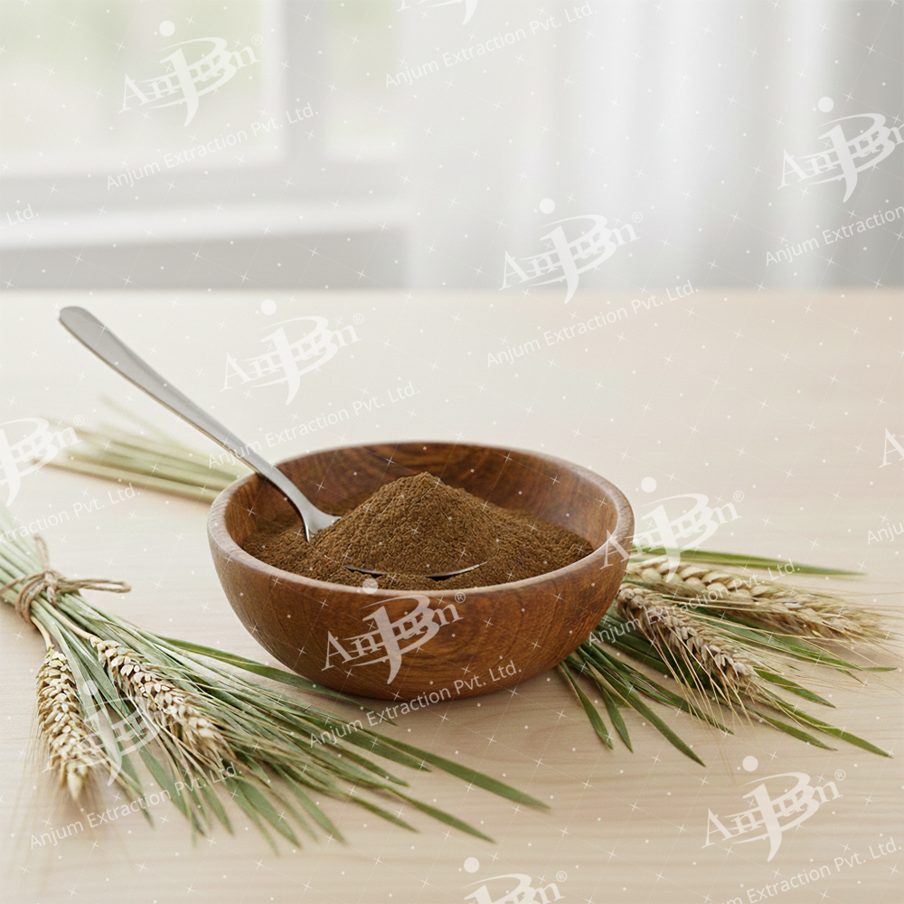 Triticum aestivum (Wheatgrass) Extract