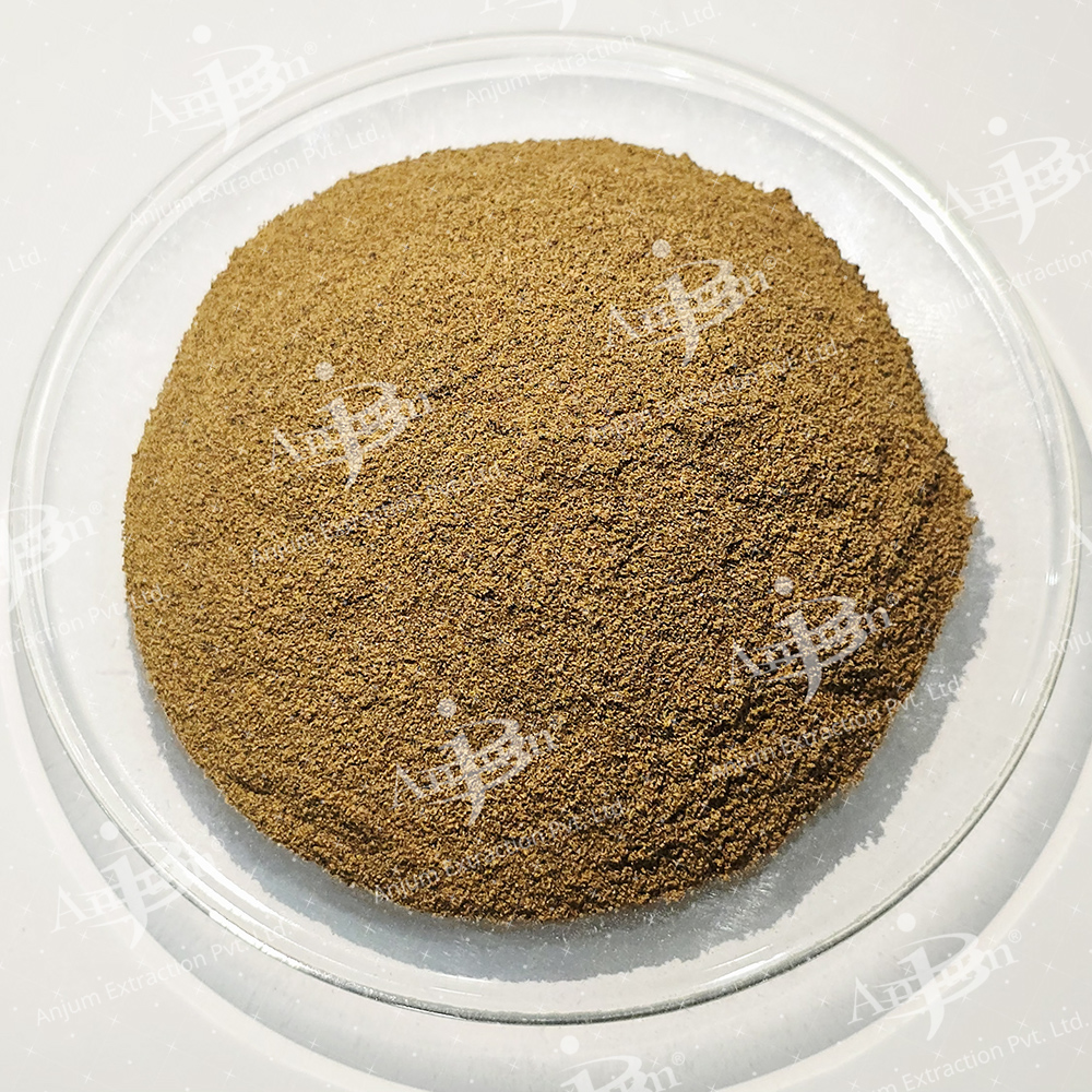 Triticum aestivum (Wheatgrass) Extract
